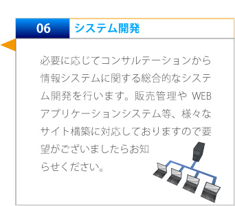 06 システム開発